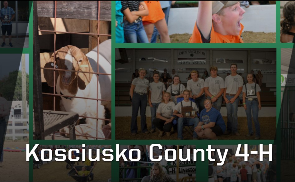 Kosciusko County 4H Auction Polk Auction Company